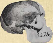Piltdown Man