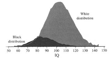 IQ distribution