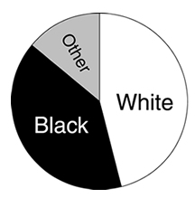 Bureau of Justice statistics