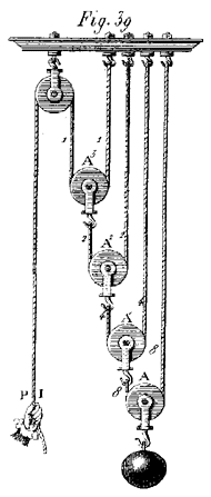 The Roots of the Western Man, Part I | Locust blog