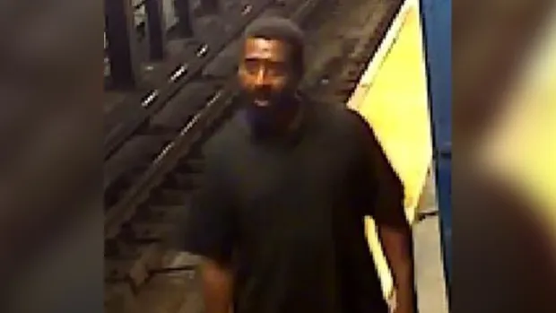 Police: Man, 74, Pushed Onto Subway Tracks in Unprovoked Attack on ...